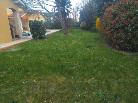 Tonte pour entretien de jardin à Fontaines-sur-Saône