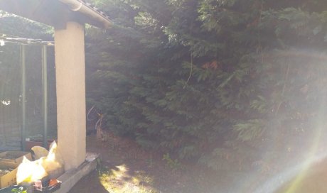 Avant la réalisation des travaux
