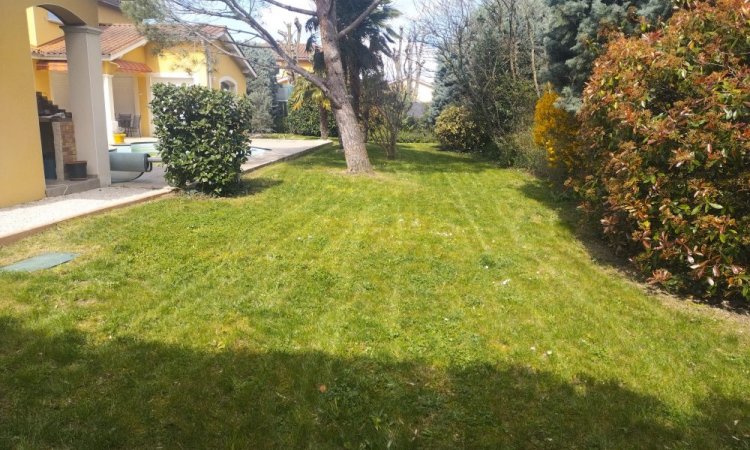 Tonte pour entretien de jardin à Fontaines-sur-Saône