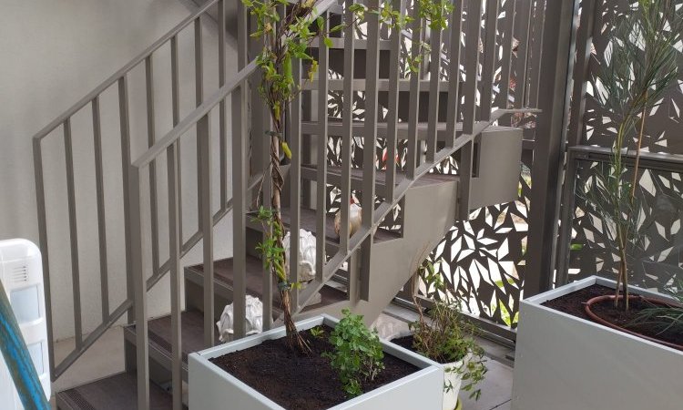 Plante grimpante pour habillage escalier L'Arbresle